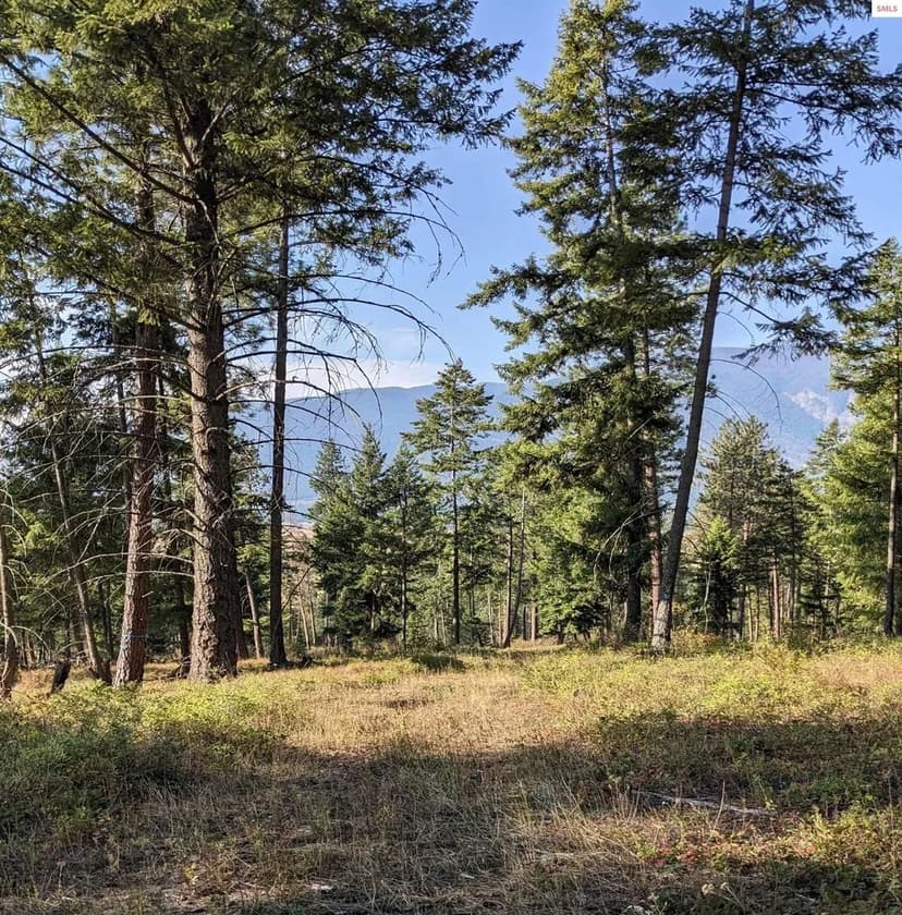 Vacant Land (0-10 Acres) in Bonners Ferry