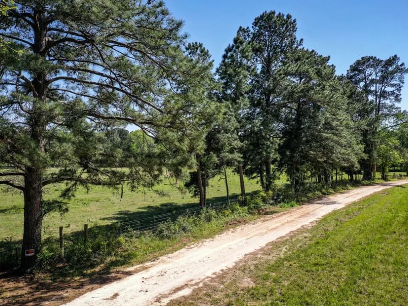 11 Acres/Creek/Pastures - 11 Acres Black Jack Rd, Walker County, TX