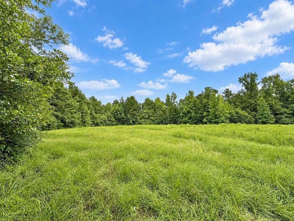 Vacant Land in Pitkin - Pitkin, Louisiana, 70656