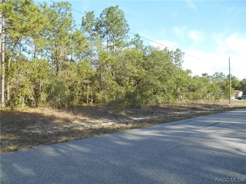 Lots & Land-Other in Citrus Springs