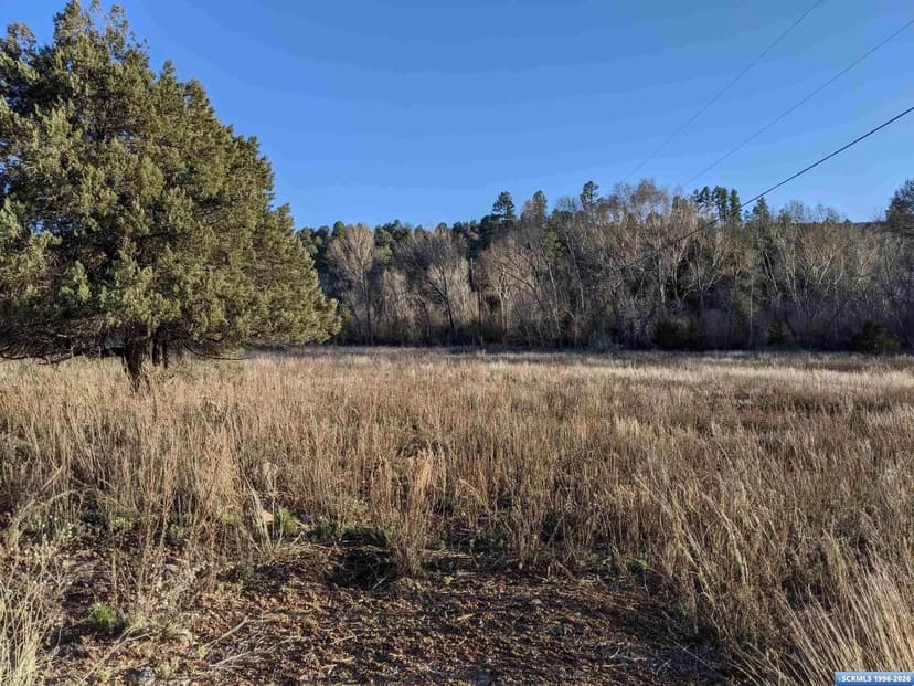 Vacant Land in Lake Roberts