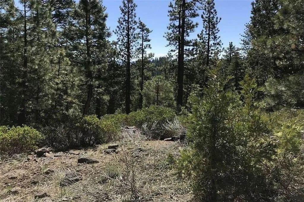 Property from 0 Falcon Road - KW - California Pines, California, 96101
