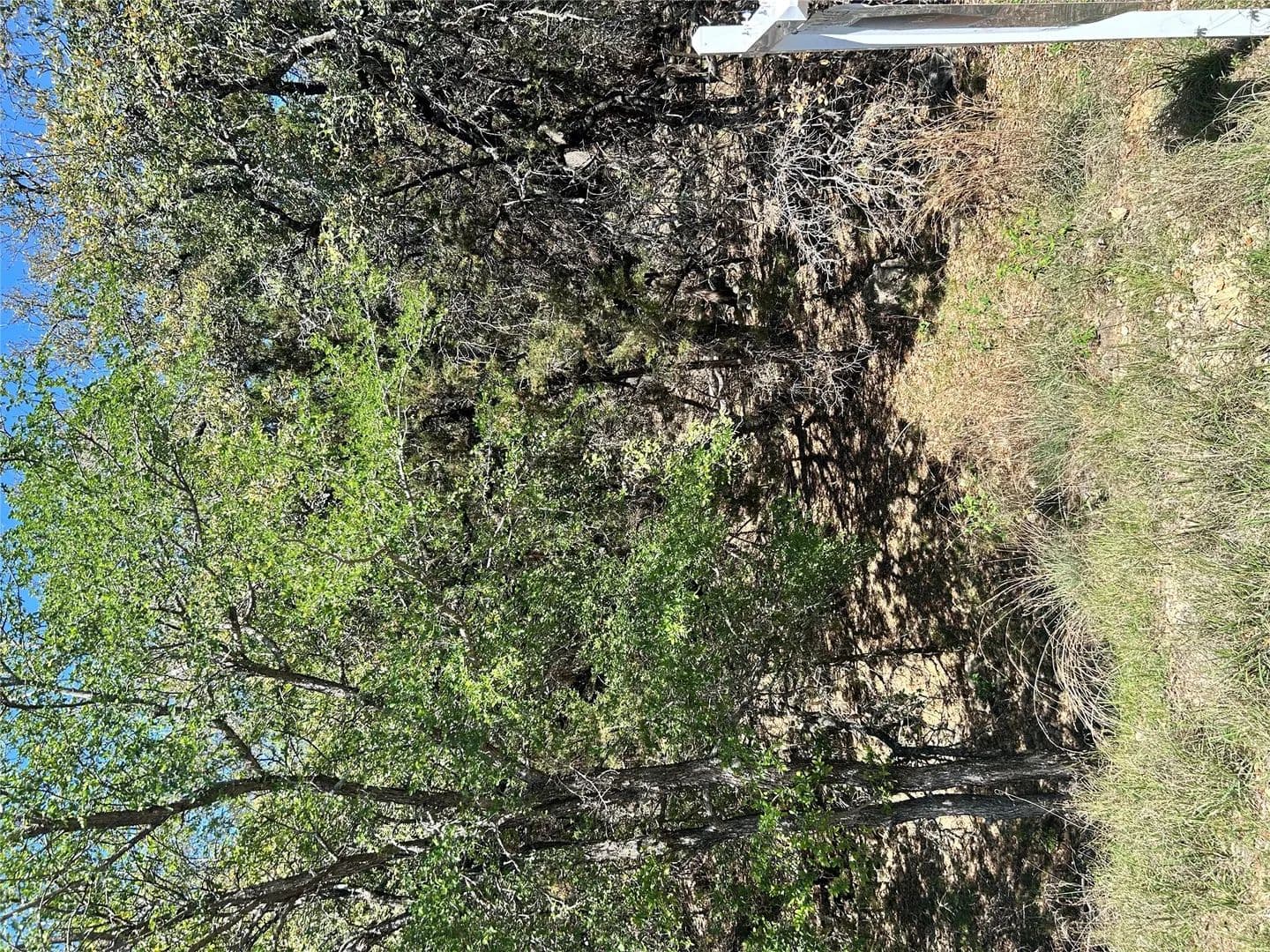 Vacant Land in Leander - Leander, Texas, 78645