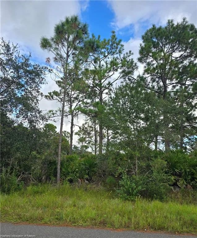Vacant Land in Lake Placid - Lake Placid, Florida, 33852