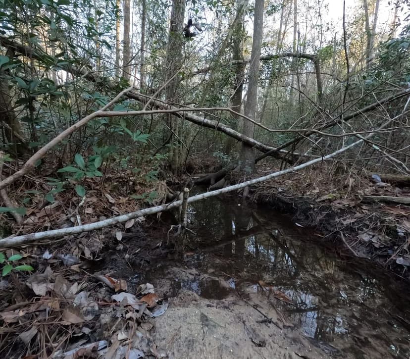 46 Acres County Line Rd