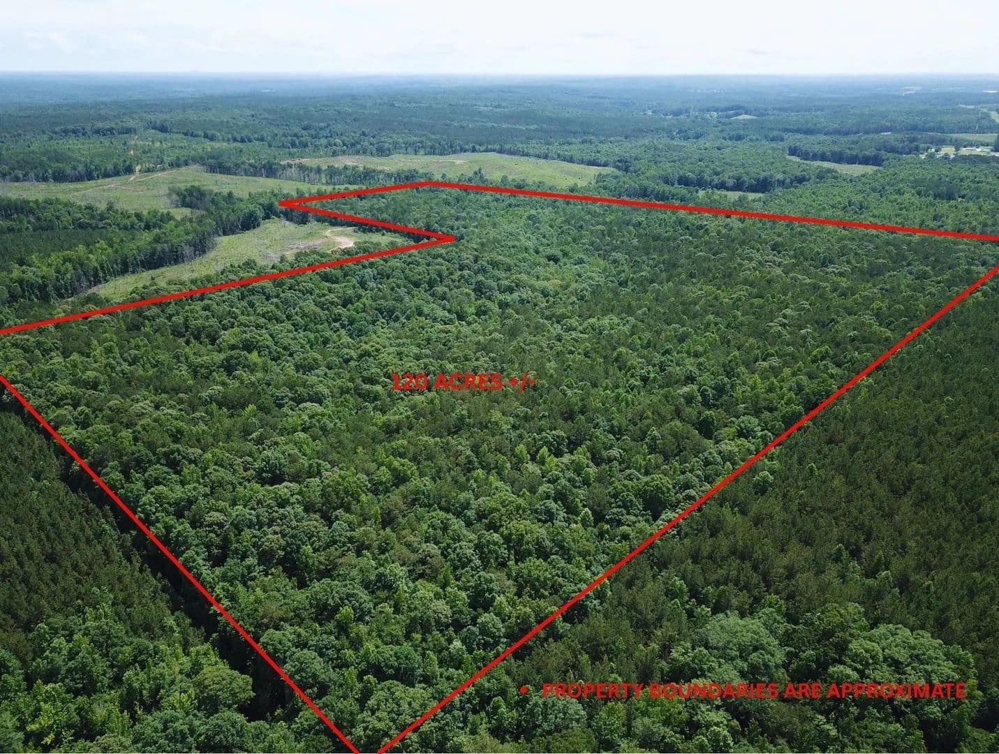 Turnkey Hunting Retreat - CoRd 823 - Wadley, Alabama, 36276