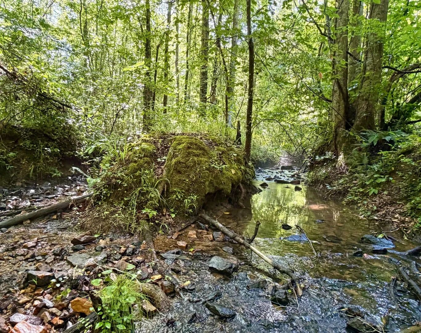 Turnkey Hunting Retreat - CoRd 823 - Wadley, Alabama, 36276