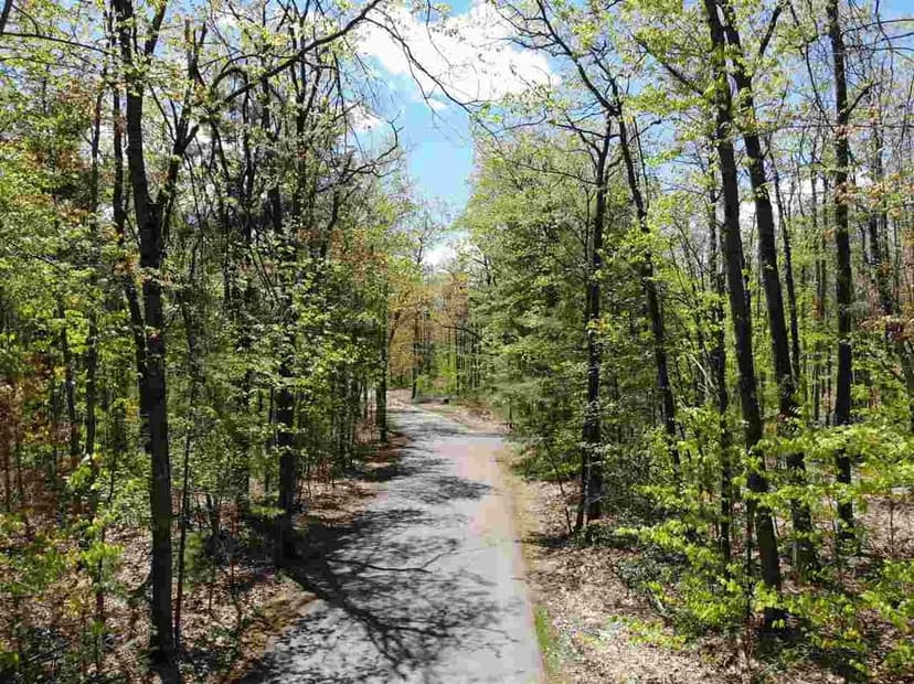 Lots & Land-Other in Gaylord