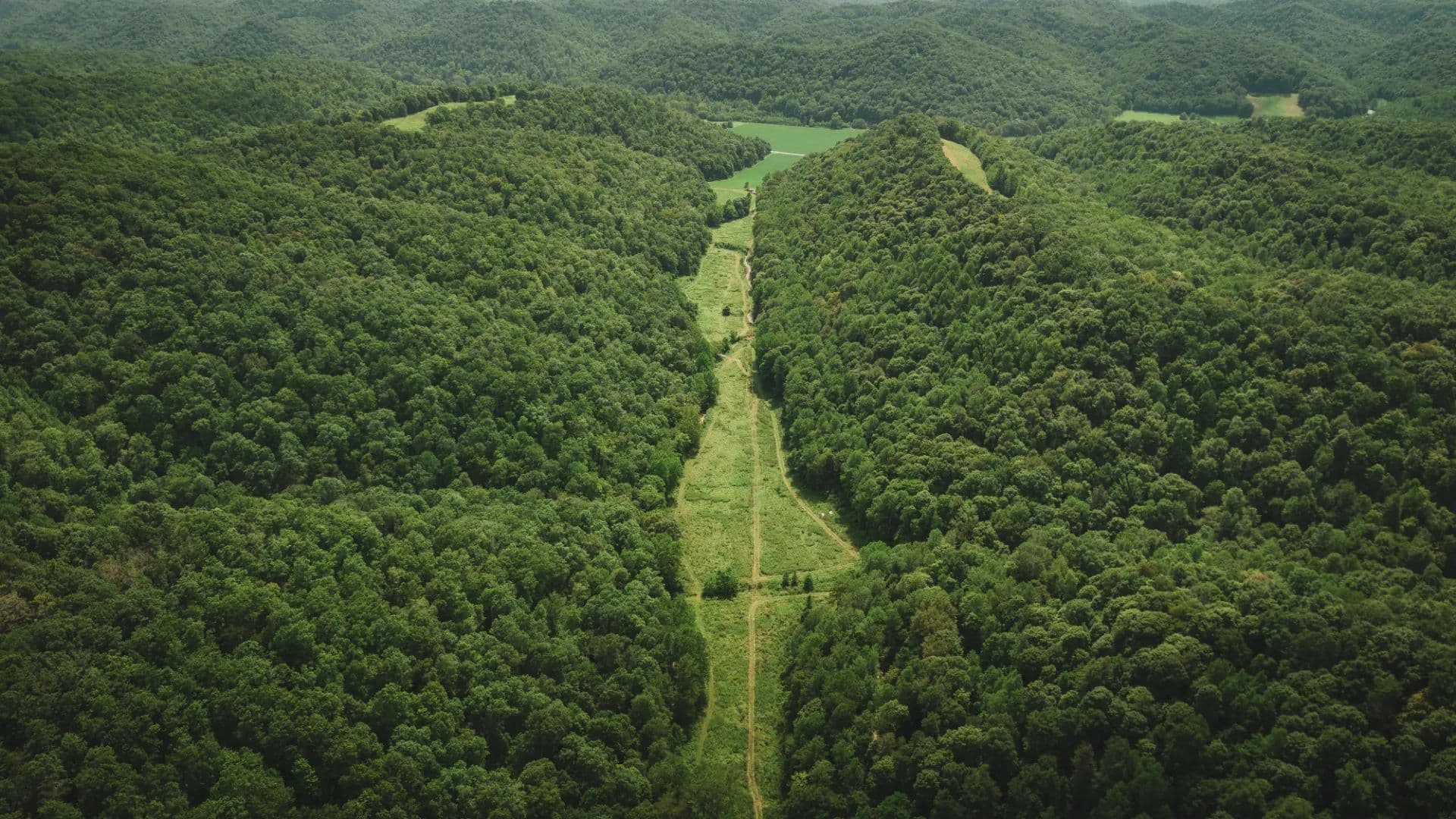 580 Acres with a Cabin in Lewis County, KY  - Vanceburg, Kentucky, 41179
