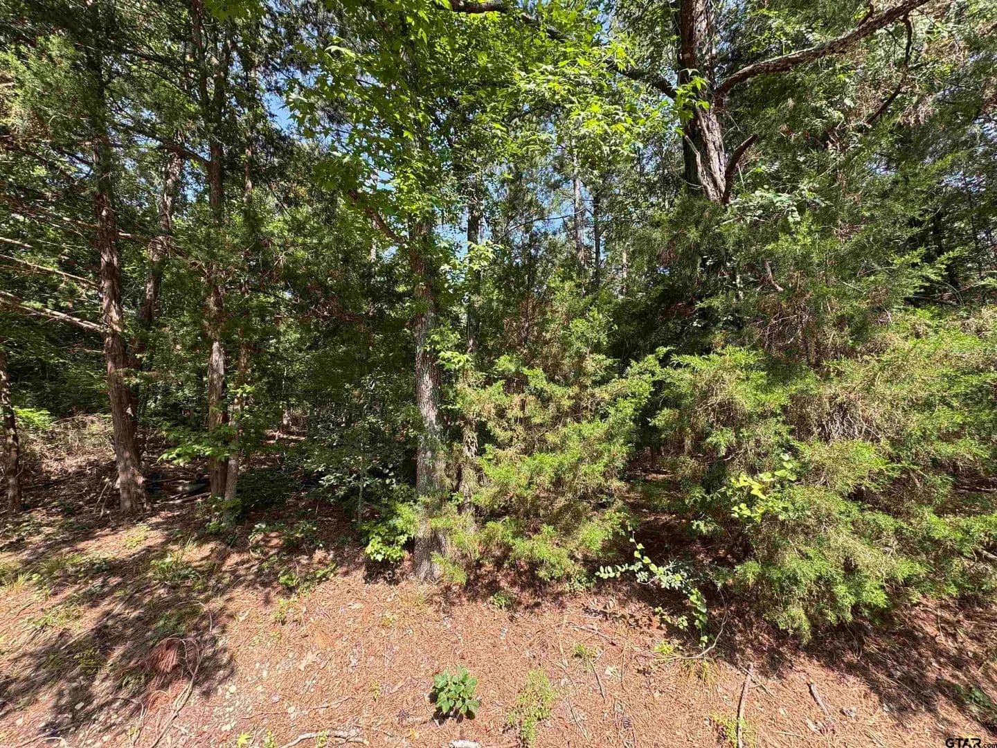 Lots & Land-Other in Mt Vernon - Mt Vernon, Texas, 75457