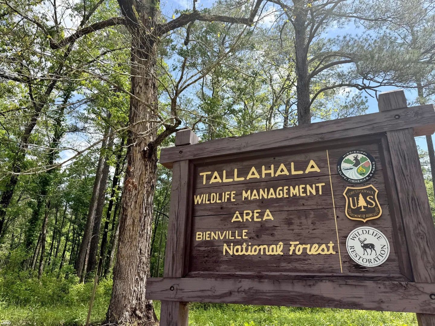 Bienville National Forest Camping and Homesite Tract #1 - Lake, Mississippi, 39092