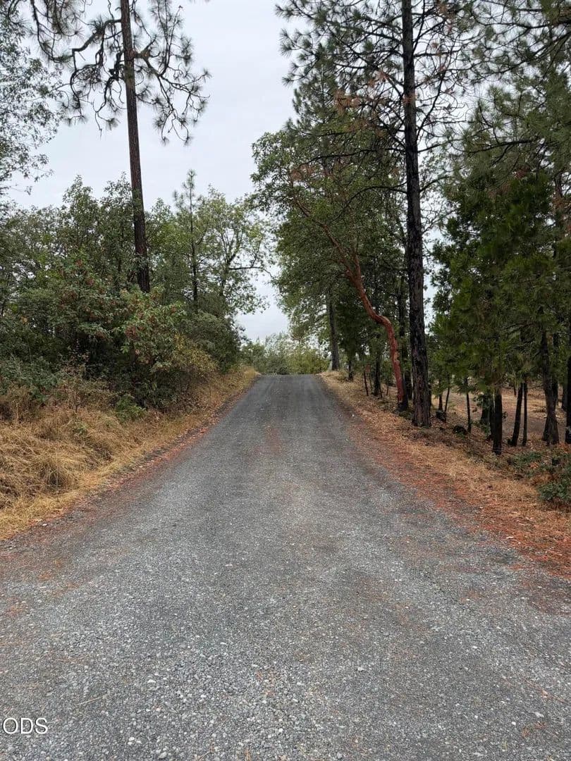 Lots & Land-Other in Butte Falls - Butte Falls, Oregon, 97522