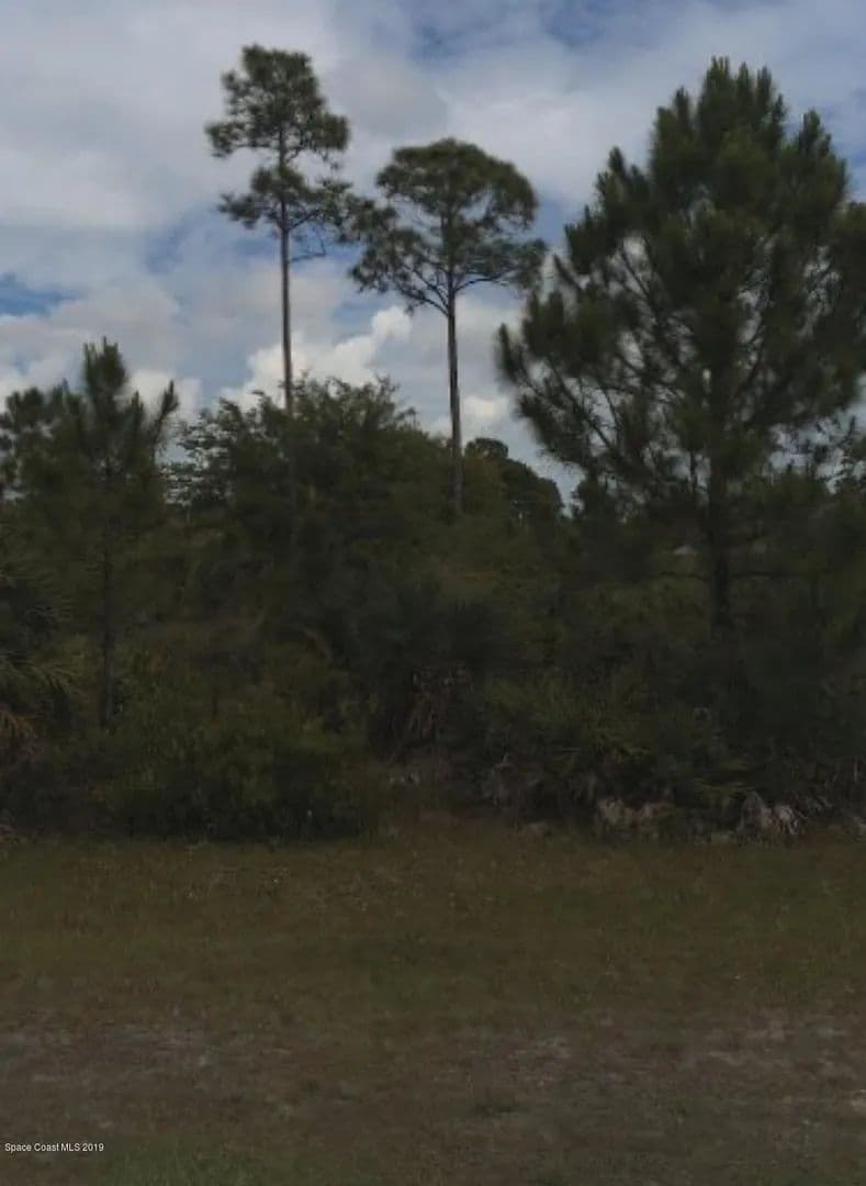 Vacant Land in Palm Bay