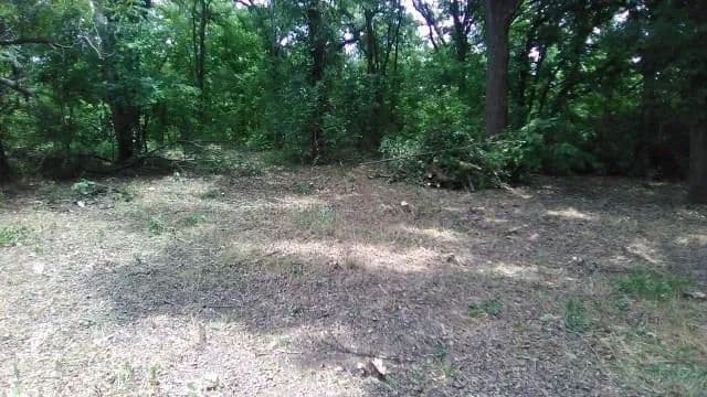 Vacant Land in Alvarado