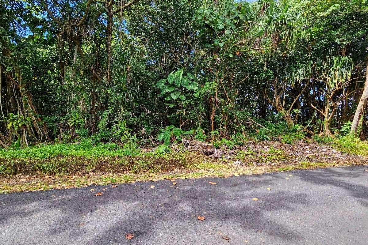 Vacant Land in Pahoa - Pahoa, Hawaii, 96778