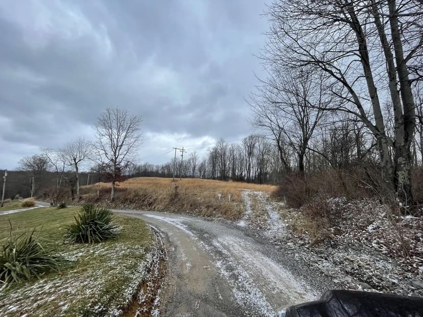 Vacant Land (10+ Acres) in Buckhannon