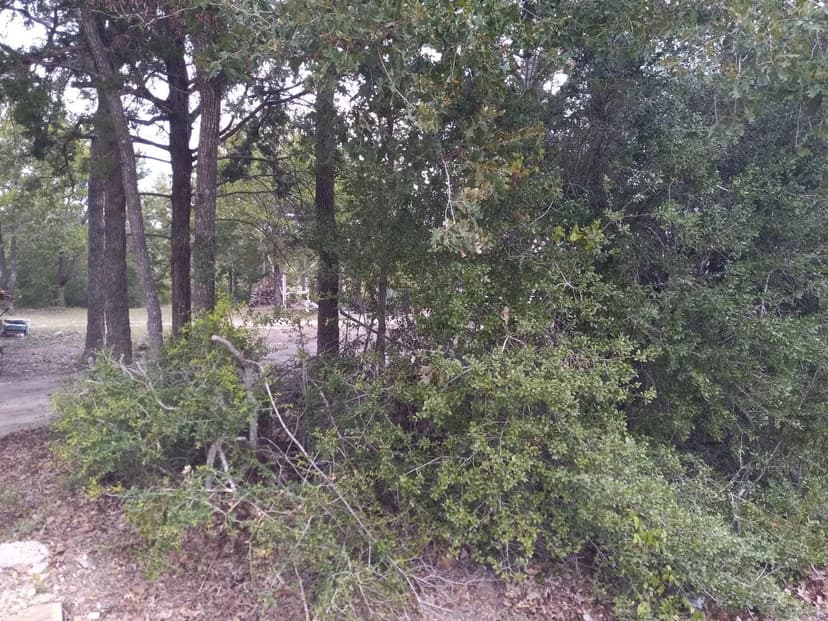 Vacant Land in Somerville
