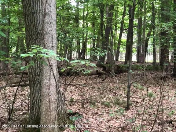 Lots & Land-Other in DeWitt