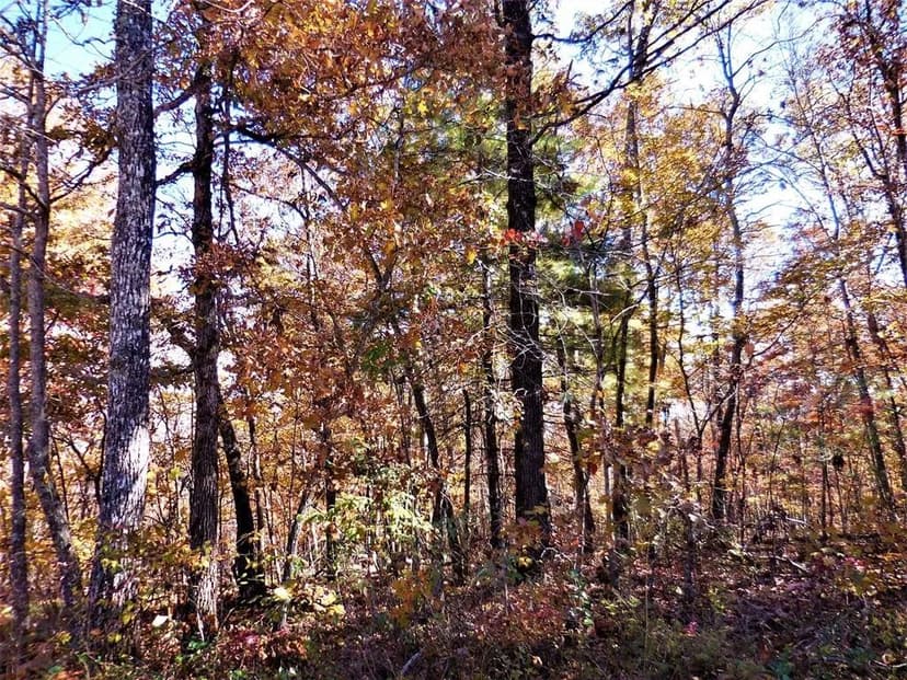 Lots & Land-Other in Crossville