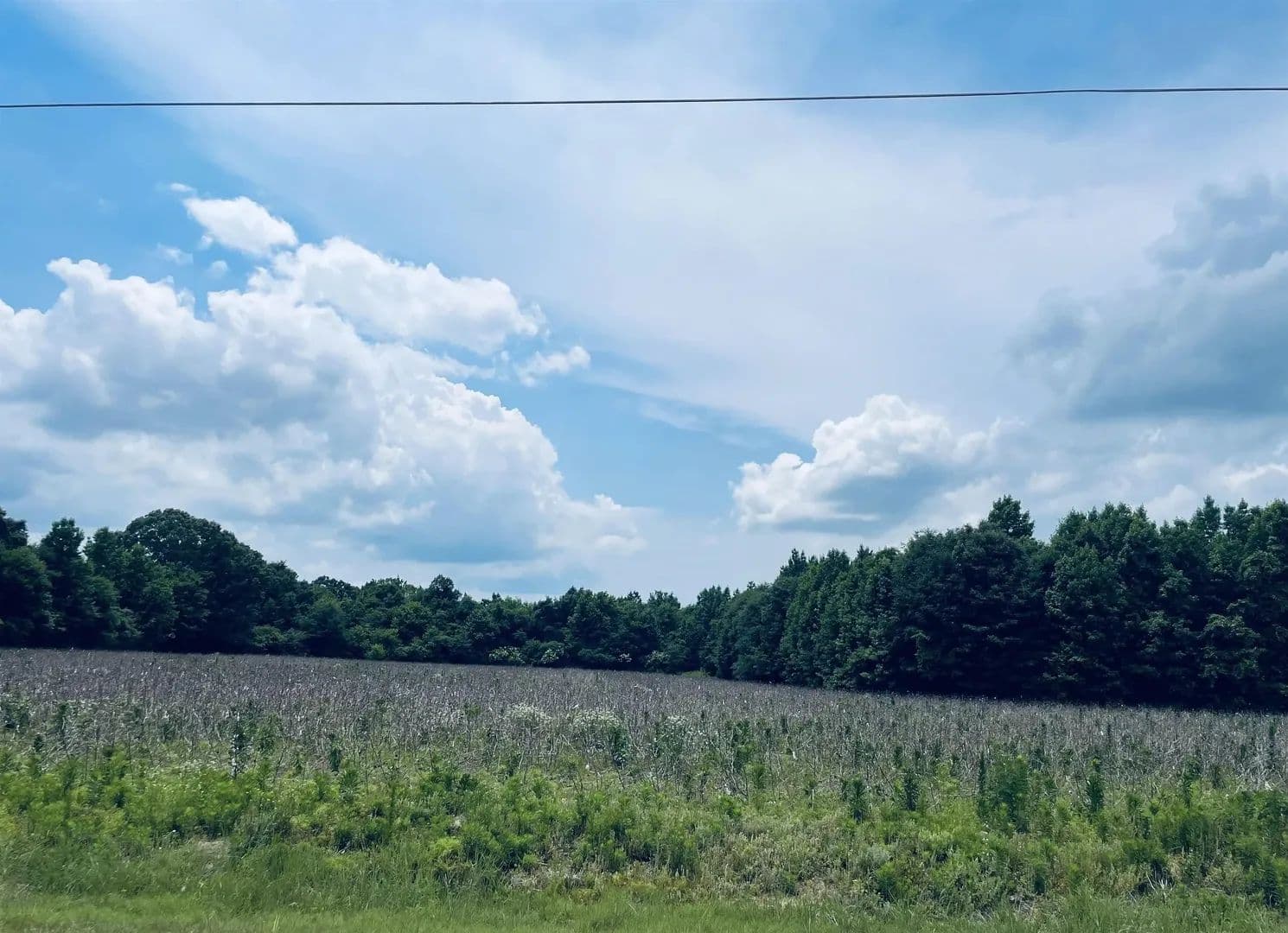 Land -Single Family Acreage in Athens - Athens, Alabama, 35614