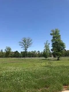 Vacant Land in Shreveport