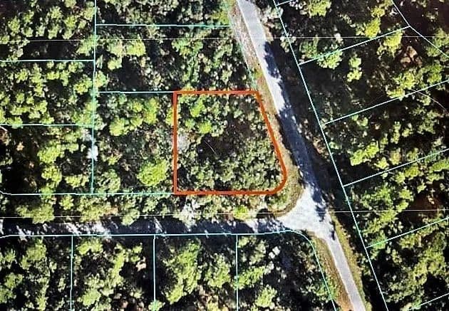 Vacant Land in OCKLAWAHA