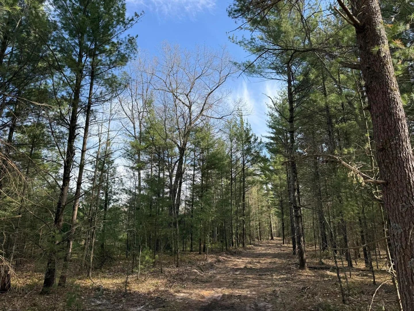 19.95 Acres of Land for Sale in Manistee, MI - Manistee, Michigan, 49660