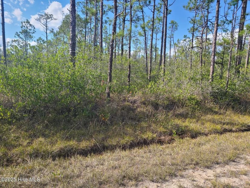 Vacant Land in Boiling Spring Lakes