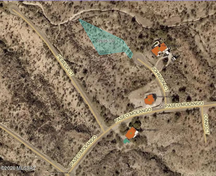 Lots & Land-Other in Rio Rico