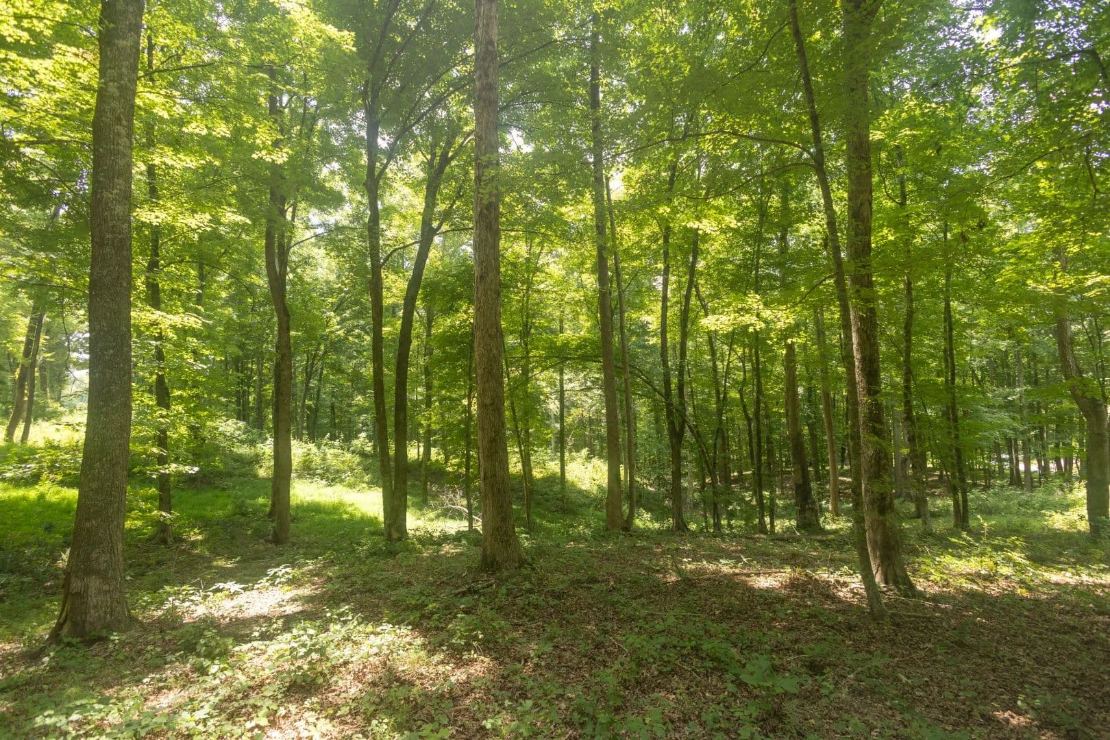5.3 Total Acres in McMinn County, TN  - Calhoun, Tennessee, 37309