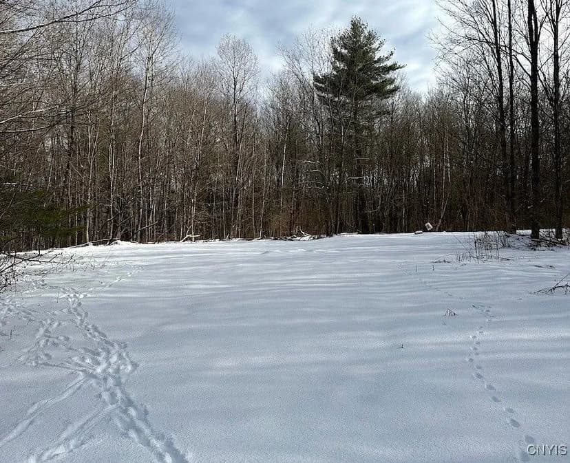 Lots & Land-Other in Altmar