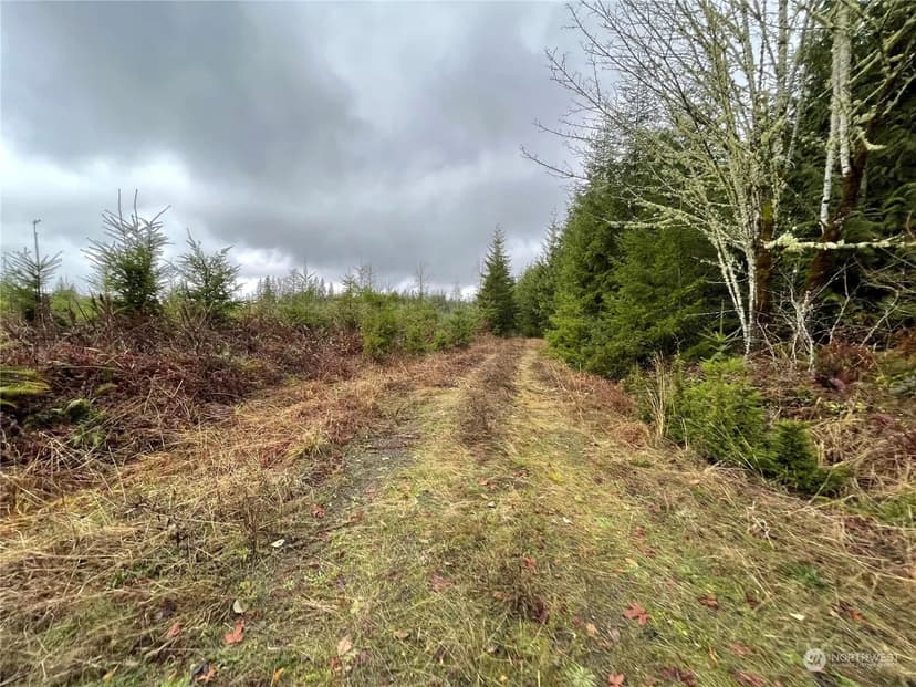 Vacant Land in Onalaska
