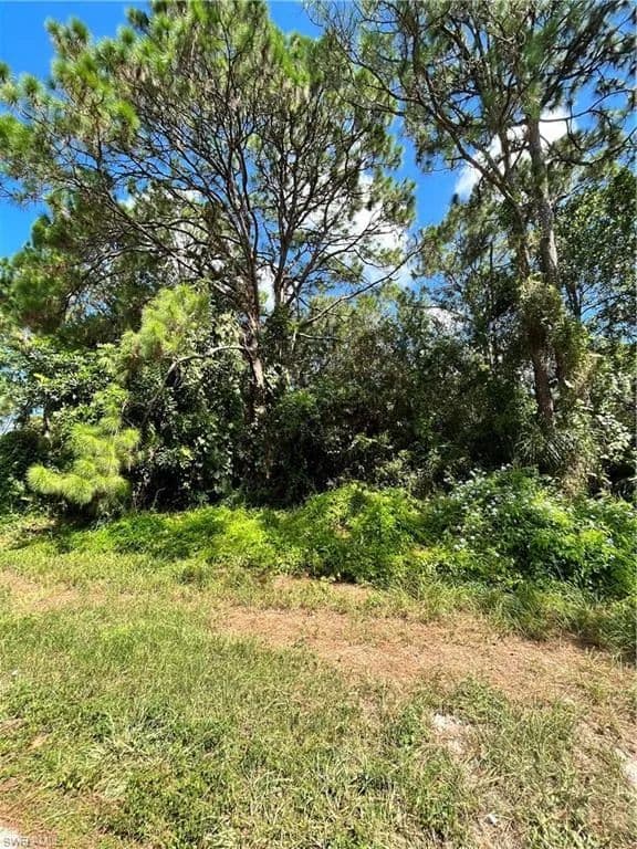 Vacant Land in Lake Placid