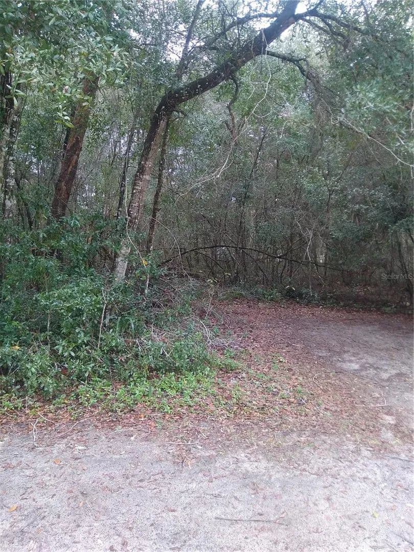 Lots & Land-Other in SILVER SPRINGS