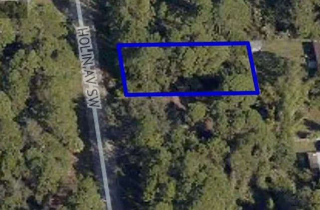 Vacant Land in Palm Bay