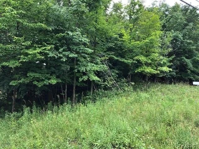 Land -Single Family Acreage in Watertown