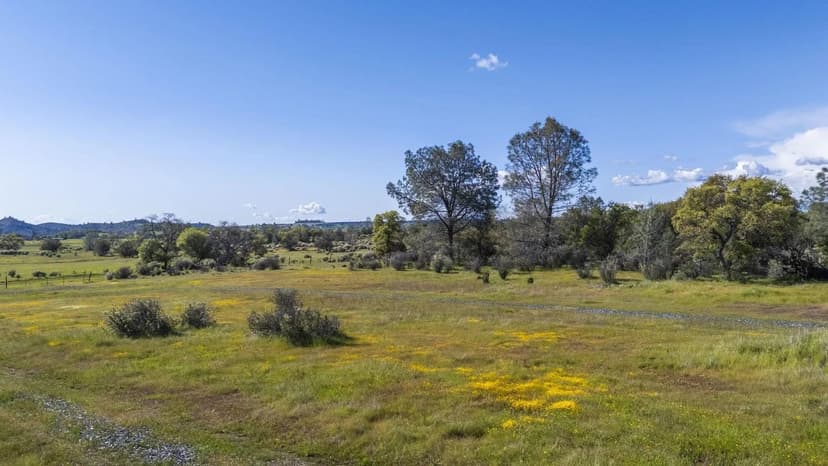 Lots & Land-Other in Chinese Camp