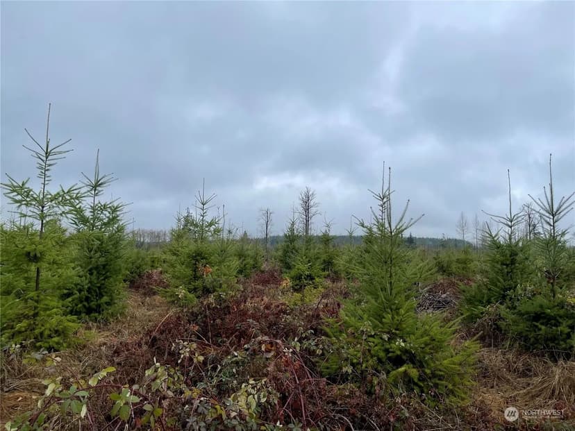 Vacant Land in Onalaska