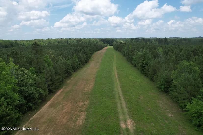 56 Acres in St. Helena Parish with Black Creek