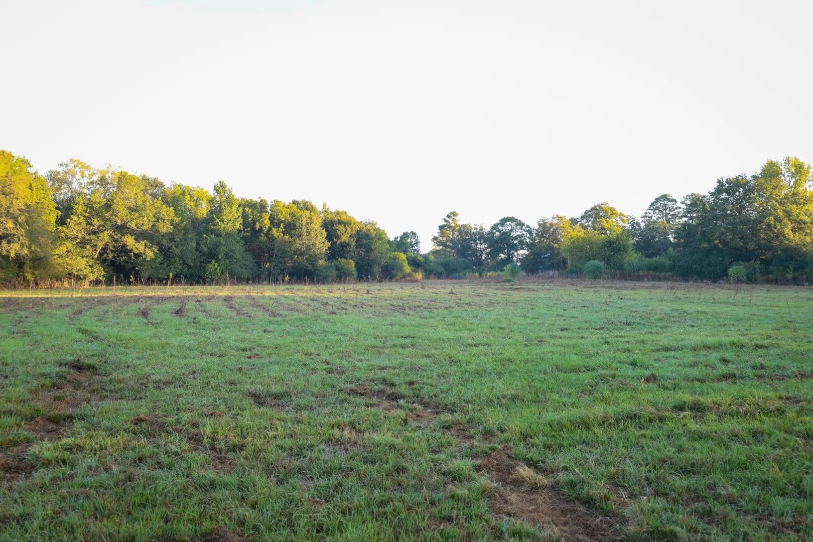 53 Acres in Union Parish, LA  - Spearsville, Louisiana, 71277