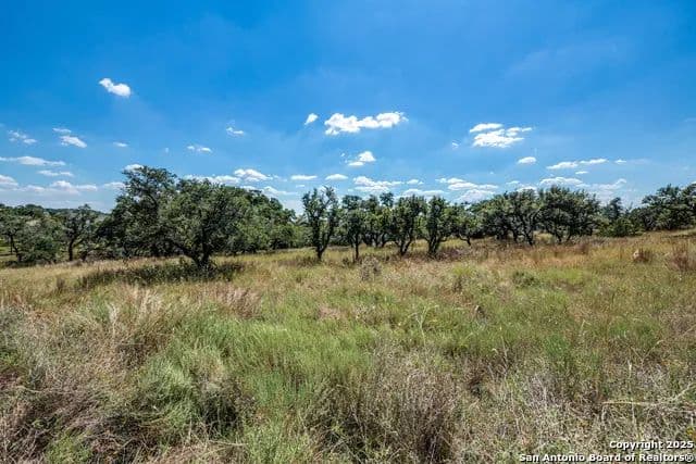 Vacant Land in Blanco - Blanco, Texas, 78606