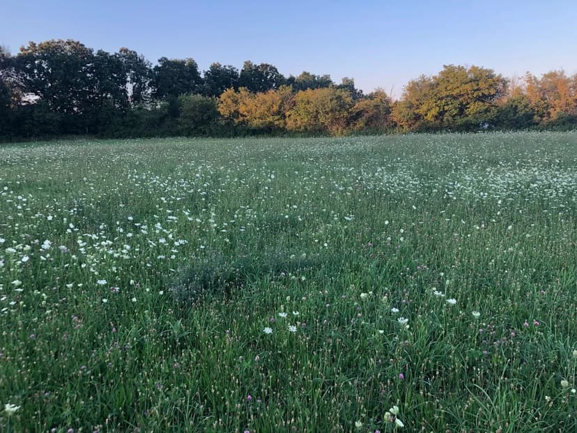 Vacant Land in Wadsworth