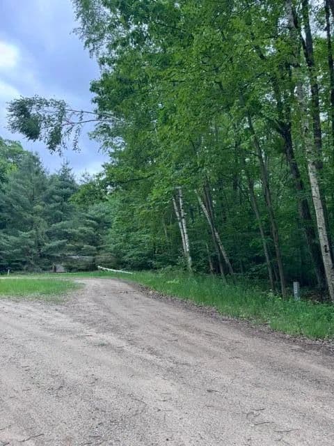 1.25 Acres of Land for Sale in Leroy, MI - land for sale