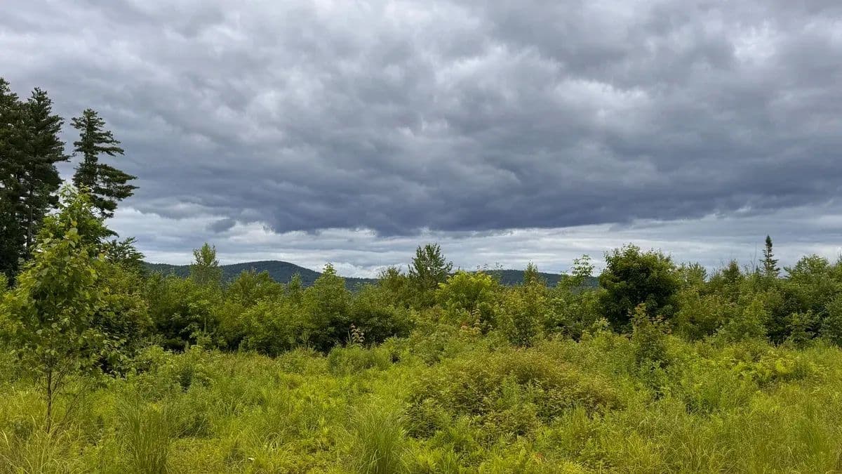 Sweden, Map R5 Lot 52 Bridgton Road - 48 acres - Sweden, Maine, 04040