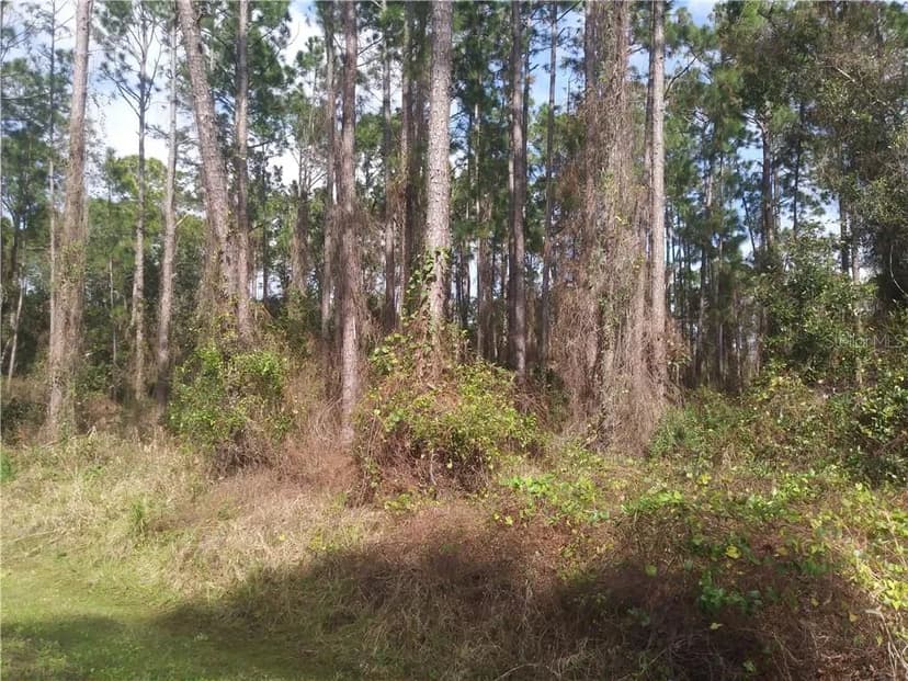 Vacant Land in DEBARY