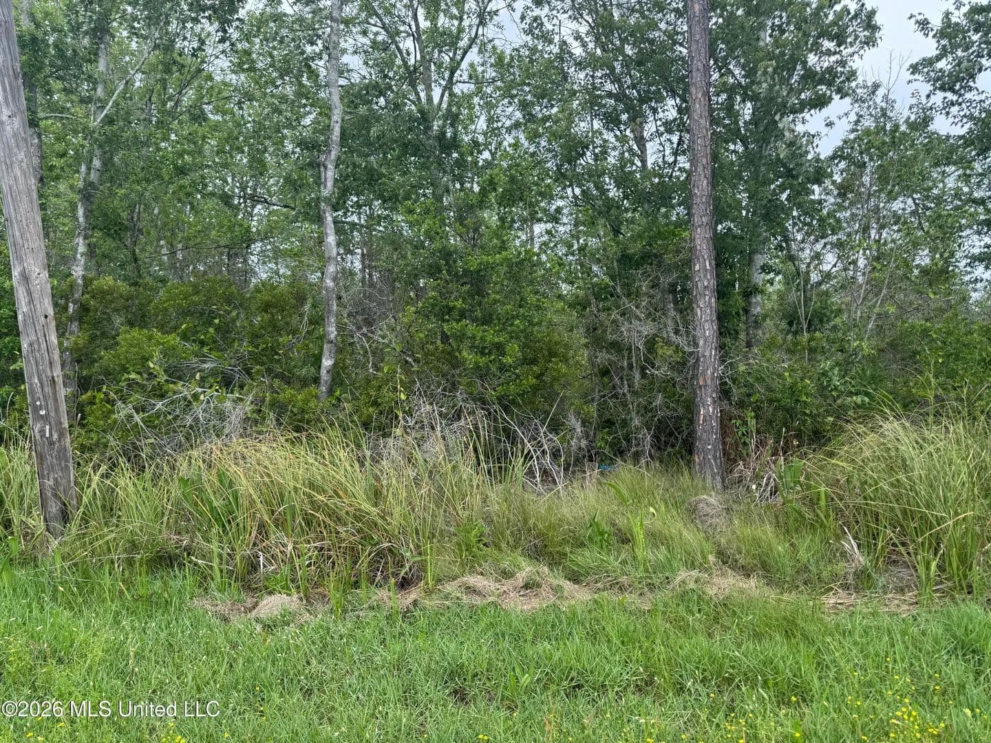 Vacant Land in Kiln - Kiln, Mississippi, 39556