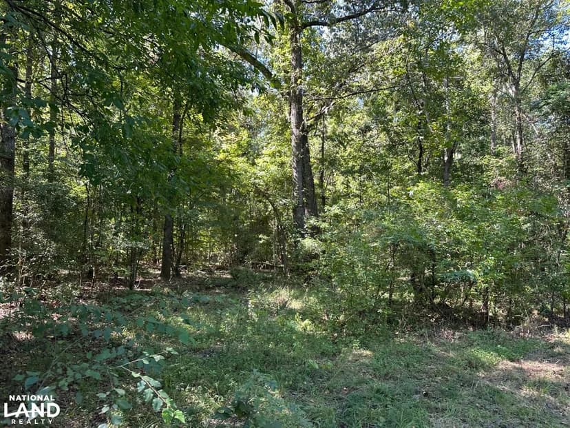 Cypress Swamp Recreational Tract