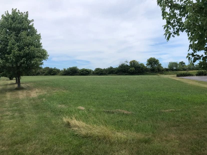 Vacant Land in Wadsworth