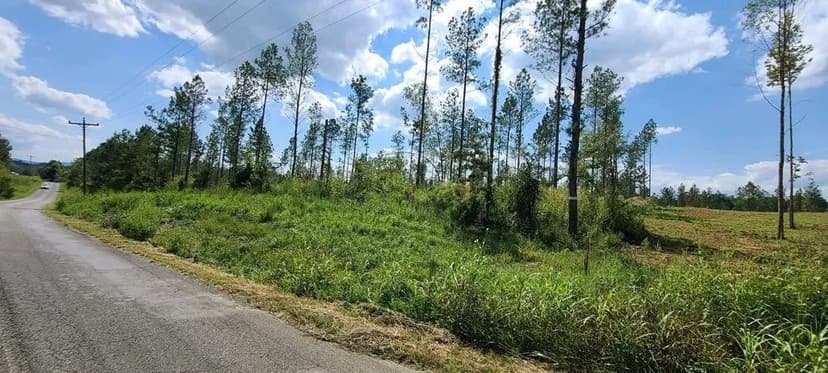 Lots & Land-Other in Calhoun