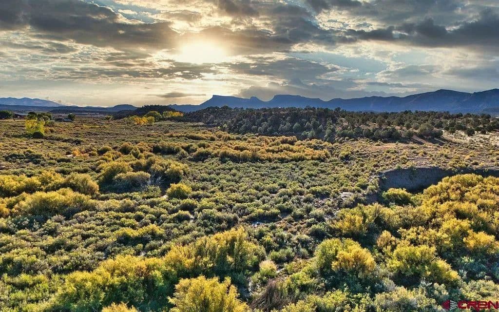 Lots & Land-Other in Cortez - Cortez, Colorado, 81321